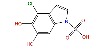 Ancorinolate C